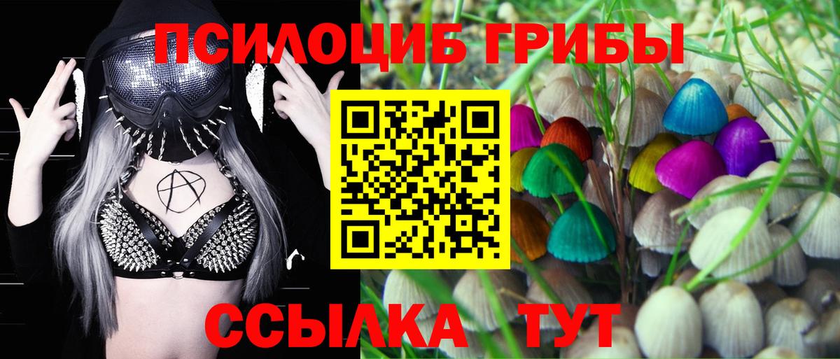 Галлюциногенные грибы Magic Shrooms  Вход с VPN  Междуреченск 