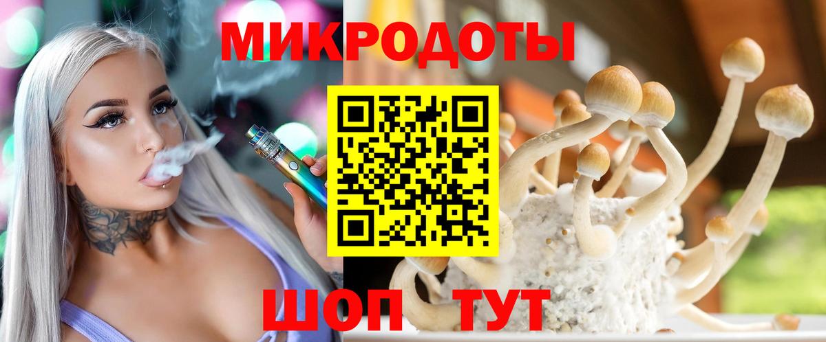Псилоцибиновые грибы Cubensis Междуреченск